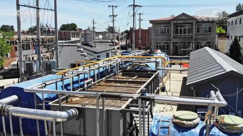 守護綠色家園——建設工程施工的生態實踐