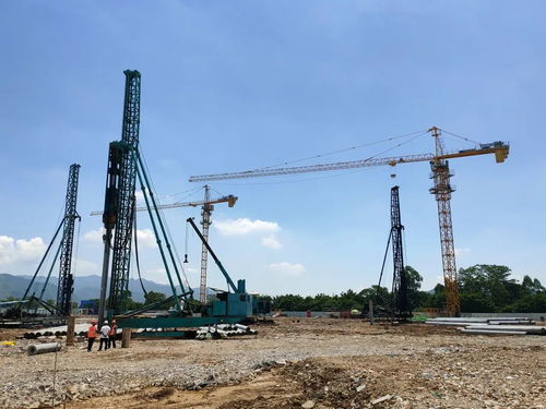 肇慶水產(chǎn)交易中心試運營，開啟新鮮水產(chǎn)采購新篇章